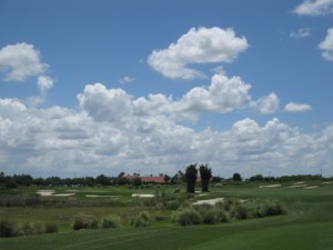 Orange County National - Crooked Cat